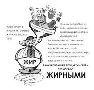 Рафинированные продукты + жир, делают вас жирными