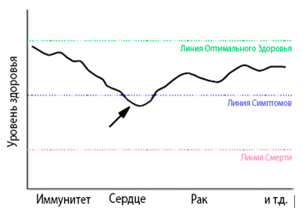 Основы здоровья 23 Рисунок 4. Линия здоровья Дениса через 40 лет