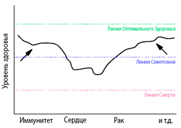 Основы здоровья 29 Основы здоровья