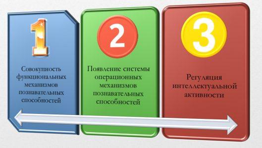 Строение интеллекта