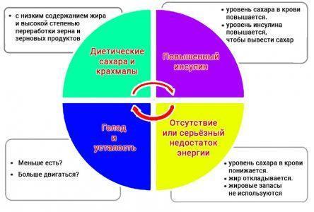 Пирамида питания и её влияние на организм Пирамида Питания И Её Влияние На Организм
