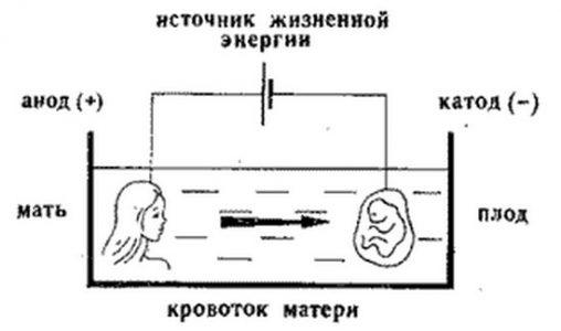 Гальванопластика в беременности