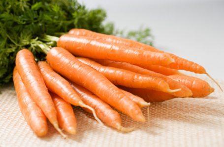 Морковь посевная — Daucus carota subsp. sativus
