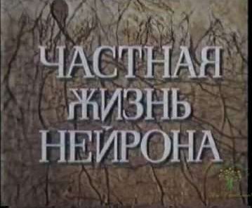 Частная Жизнь Нейрона