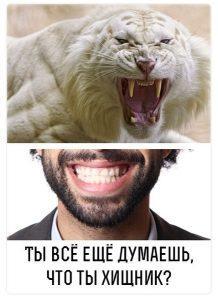 Ты всё ещё думаешь, что ты хищник?