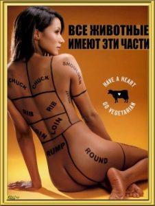 Ты всё ещё думаешь, что ты хищник?