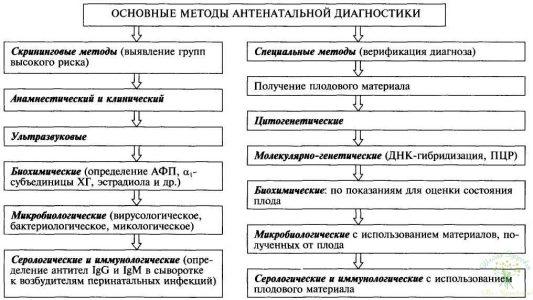 I триместр беременности. Течение и ведение беременности по триместрам 2 Схема 1. Антенатальная Диагностика
