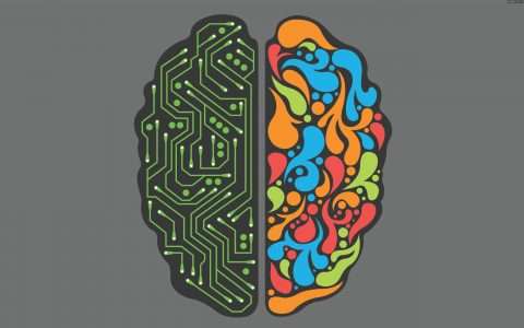 Есть Ли Связь Между Цветом Кожи И Уровнем Iq