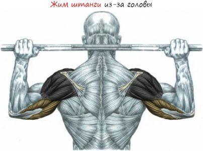 Жим из-за головы жимы во фронтальной плоскости