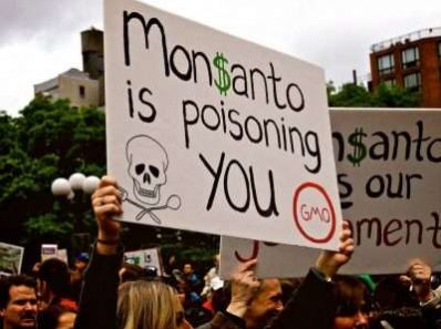 Monsanto принадлежит фармацевтам, а гербициды обеспечивают доходность от ГМО-семян