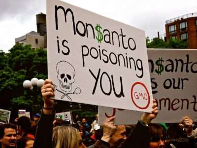 Monsanto Принадлежит Фармацевтам, А Гербициды Обеспечивают Доходность От Гмо-Семян