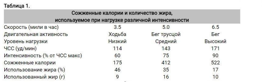 Зона сжигания жира: миф или реальность