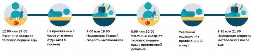 Рис. 2. Как проводился эксперимент