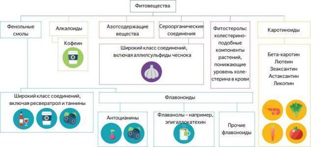 Питание. Краткий метаанализ за последние 5 лет