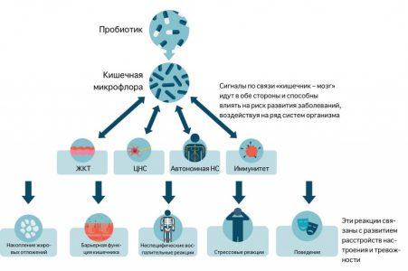 Питание. Краткий метаанализ за последние 5 лет