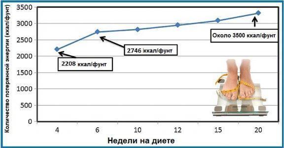 Рисунок 1. Количество потерь энергии в расчёте на фунт потерянного веса.