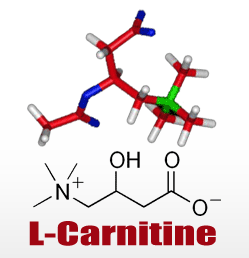 l-carnitine