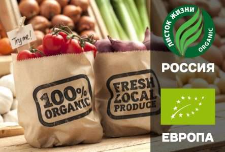 Насколько полезны органические продукты питания?