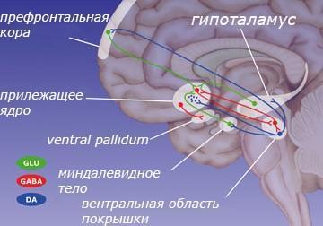 Порнозависимость. Почему отдается предпочтение порно?