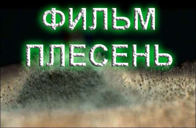 Плесень