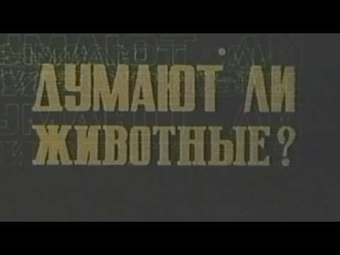 Думают ли животные?
