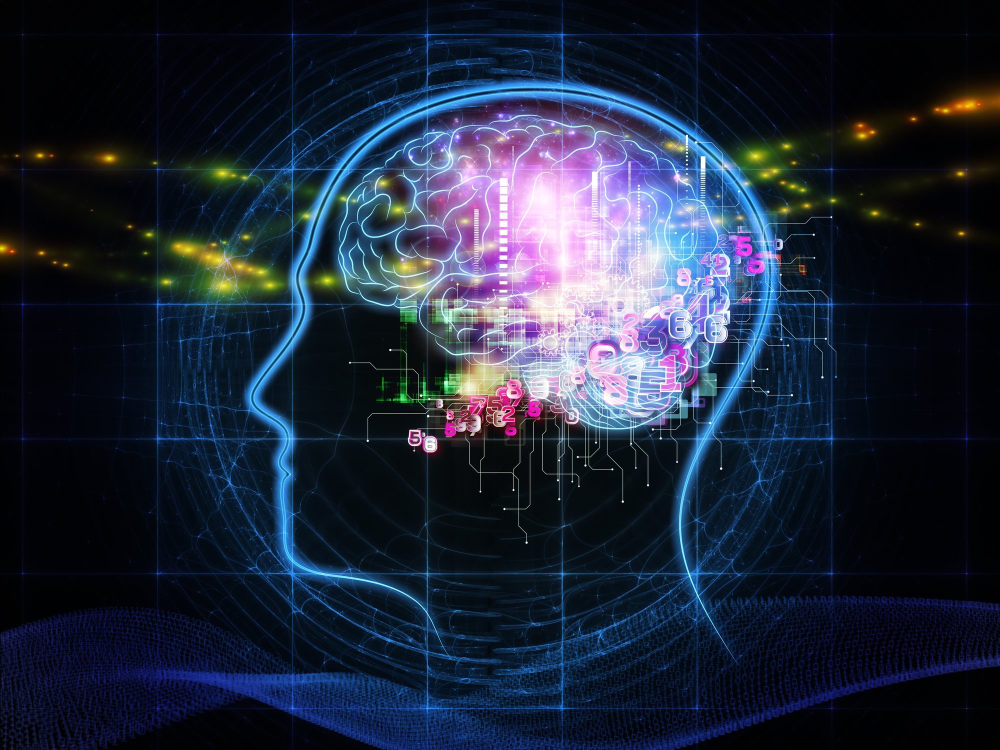 Чем выше IQ, тем лучше физическая форма в зрелом возрасте