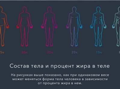 Состав тела. Как определить соотношение жира к мышечной массе?