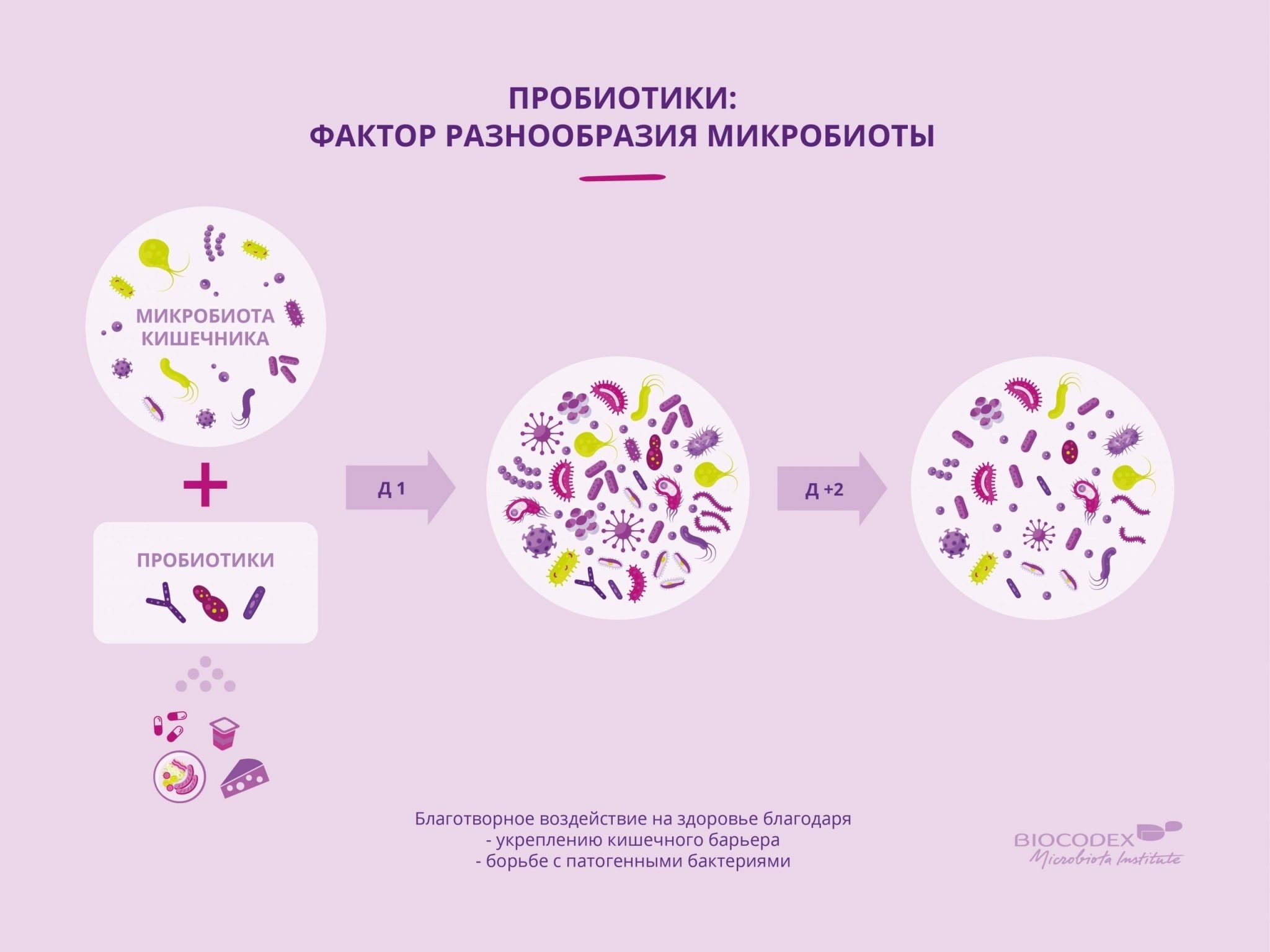 Пробиотики. Чудо пробиотиков