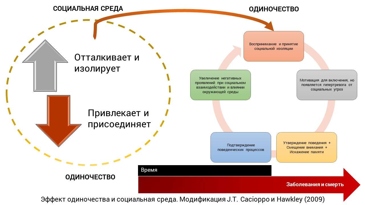 Эффект одиночества и социальная среда. Модификация J.T. Cacioppo и Hawkley (2009)