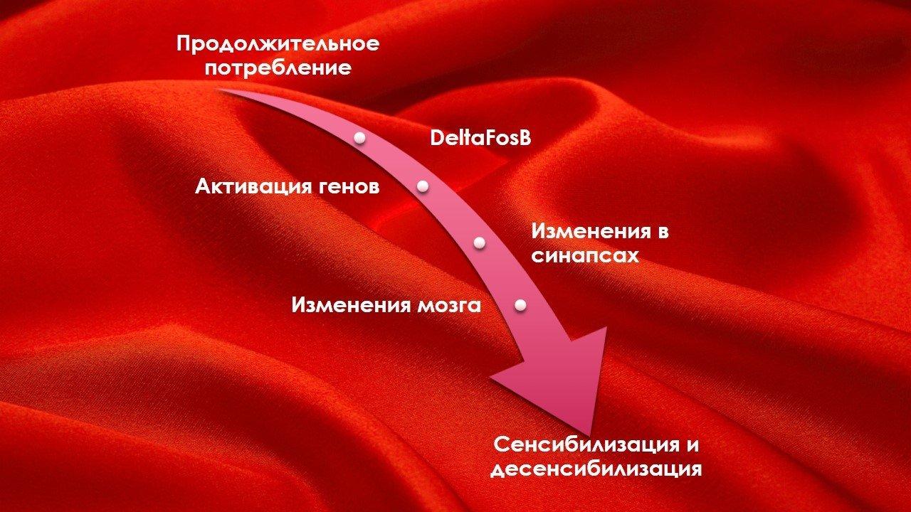 Порнозависимость. Как порно меняет Ваш мир 3 123123123