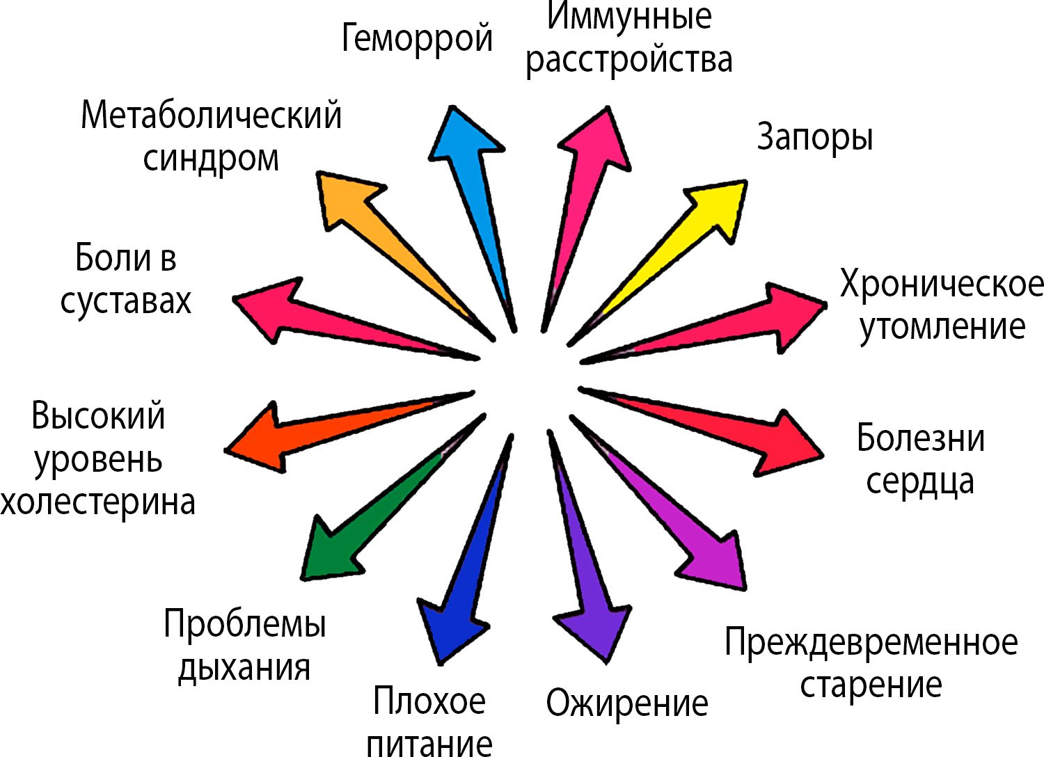 Основы здоровья 2 Chto My