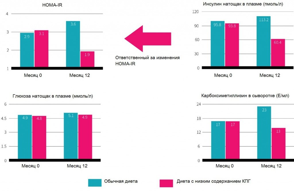 Почему жареное вредно? 13 rezultaty issledovaniya 2