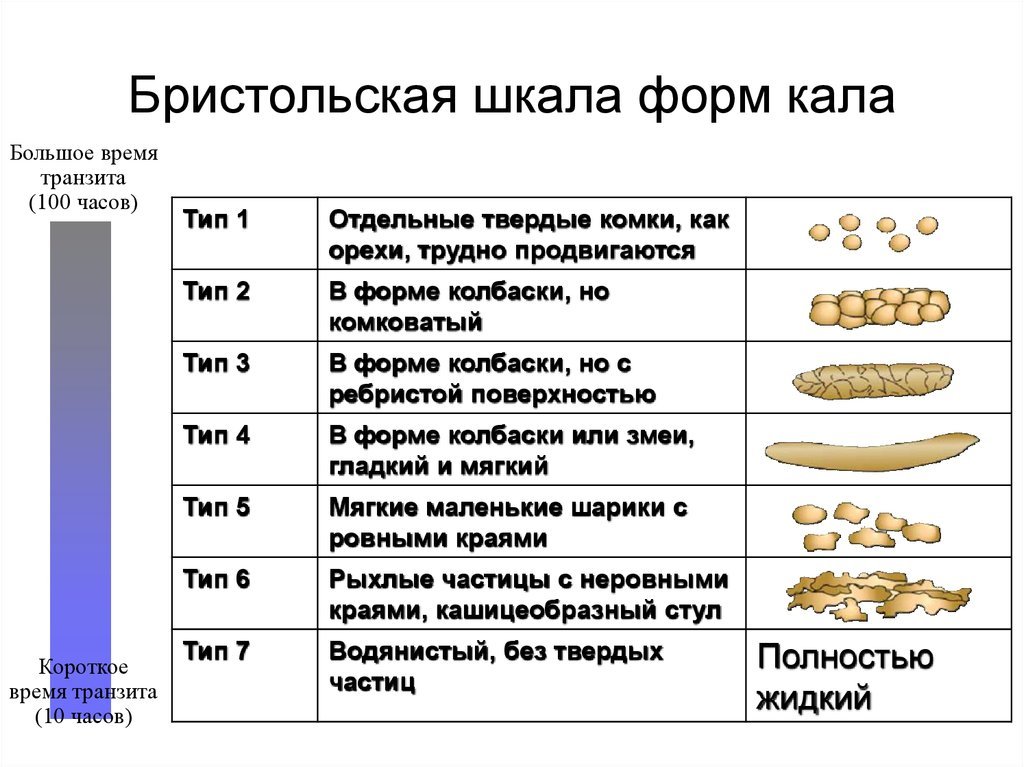 То, что Вы видите в туалете, может дать вам ценную информацию о Вашем здоровье 3 Slide 8