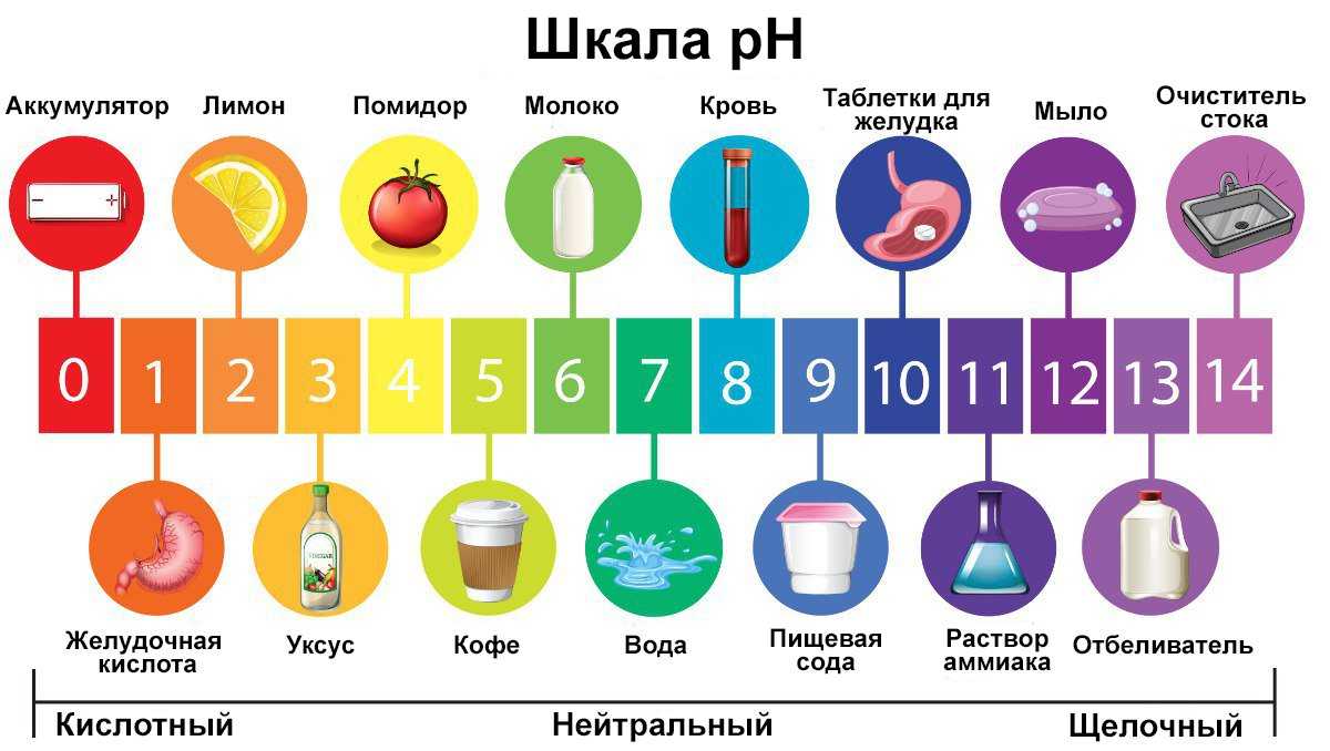 Щелочная вода: если вы попались на эту "причуду", вы можете нанести серьезный ущерб своему здоровью 2 ph scale ru