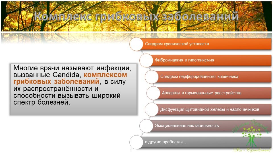 Кандидоз. Краткое руководство по быстрому излечению 69 slajd11