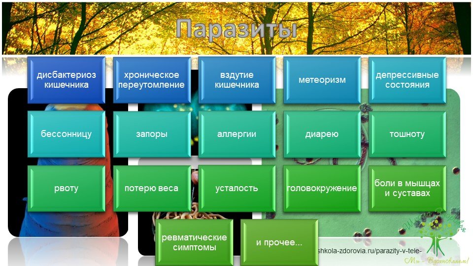 Кандидоз. Краткое руководство по быстрому излечению 79 slajd20