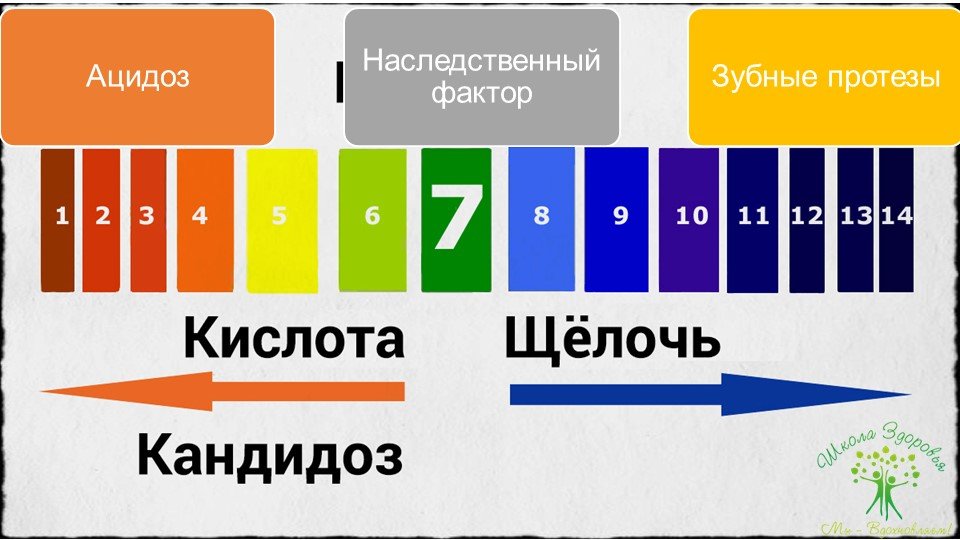 Кандидоз. Краткое руководство по быстрому излечению 83 slajd22