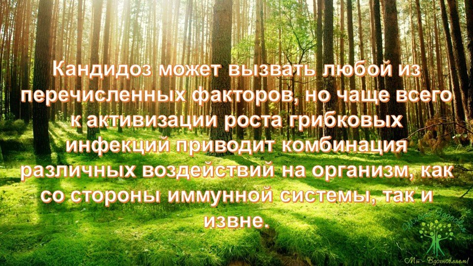 Кандидоз. Краткое руководство по быстрому излечению 85 slajd23