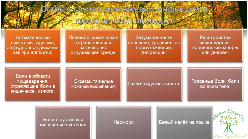 Кандидоз. Краткое руководство по быстрому излечению 93 slajd29
