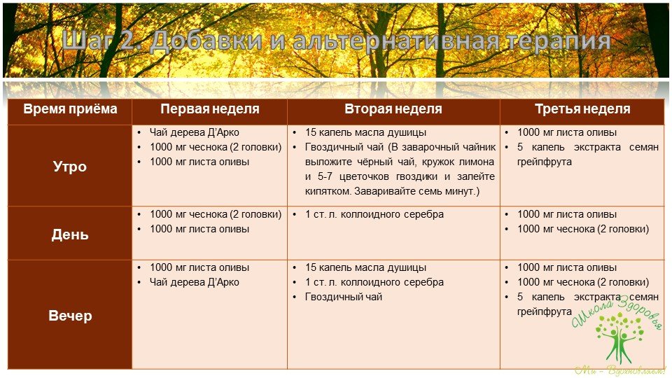 Кандидоз. Краткое руководство по быстрому излечению 105 slajd38