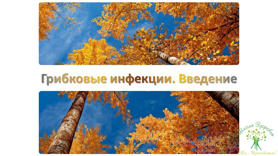 Кандидоз. Краткое руководство по быстрому излечению 59 slajd4